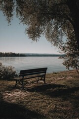Lakeside bench under a tree with distant mountains