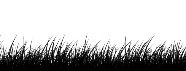 Grass Silhouette Illustration - Isolated PNG on Transparent Background
