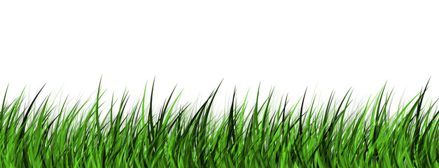 Close-Up Green Grass Illustration - Isolated PNG on Transparent Background