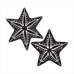 Obraz premium brittle star silhouette vector