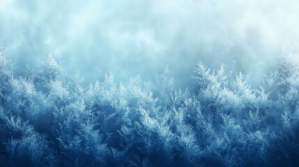Serene winter landscape with frosted trees under a soft blue sky, creating a tranquil, icy atmosphere perfect for nature lovers and seasonal themes.