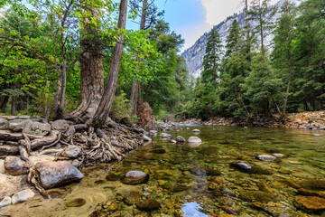 Rocky Stream Landscape