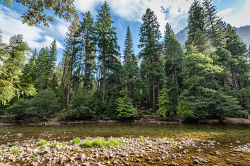 Rocky Stream