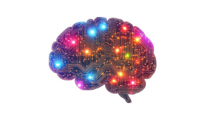 a colourfull human brain on white background