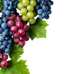 Vibrant clusters of grapes in different colors with lush green leaves 