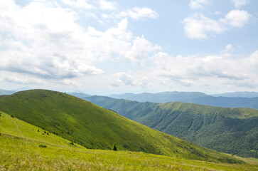 Beautiful rolling green hills stretch endlessly under a bright blue sky with scattered white clouds, capturing the serene beauty of a natural landscape. Carpathian Mountains, Ukraine