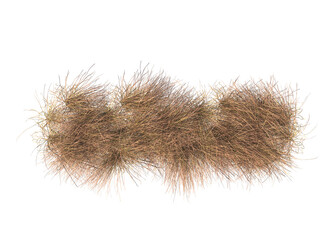 Various types of dried plants grass bushes shrub and small plants isolated