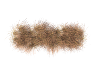 Various types of dried plants grass bushes shrub and small plants isolated