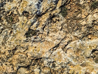 Rough surface of natural stone forming abstract pattern with moss growing on it