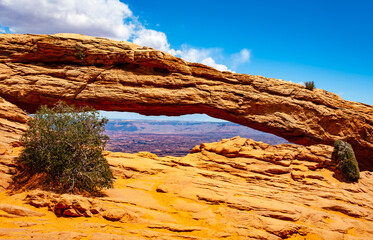 Canyonlands iin the State of Utah is  a wilderness of countless canyons and fantastically formed...
