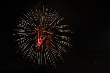 fireworks in the sky