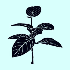 Bold silhouette of a tropical plant with wide, veined leaves. Great for eco design, nature decor, botanical prints, herbal themes, packaging, and natural product branding.