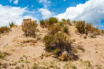 Grand Sands Dunes National Park in Colorado, USA