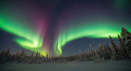 Fototapeta premium A vibrant aurora borealis display over a snow covered landscape with trees and a starry night sky