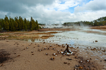Yellowstone National Park, the first national park in the US,  known for its wildlife and its many...