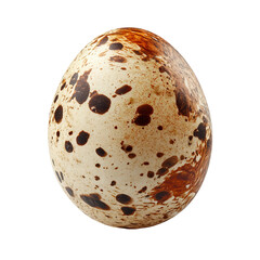 A speckled quail egg with intricate brown markings. The egg is isolated 