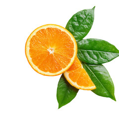 Vibrant Orange Slices with Fresh Green Leaves