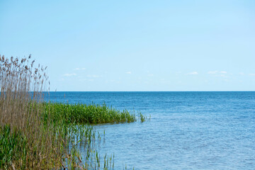 Scenic view of Lake Peipus (Chudskoe Lake) from the Estonian shore