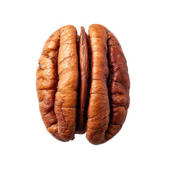 A detailed macro shot of a single pecan nut, showcasing its textured surface and natural brown color.