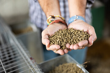 Close up image of hands holding pet food