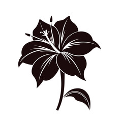 amaryllis flower vector illustration silhouette