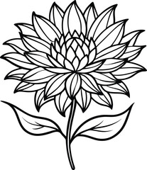 aster flower vector illustration outline vector