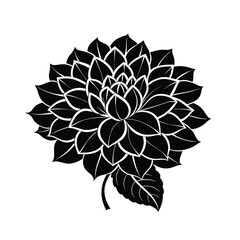 black dahlia flower vector illustration Silhouette Vector