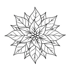 vector illustration of a  poinsettia flower