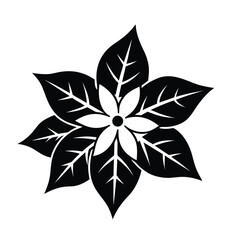  poinsettia black and white flower vector