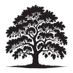 Silhouette of a large deciduous tree with lush foliage and a strong trunk