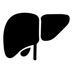 Human Liver Anatomy Detailed Illustration of the Liver Organ