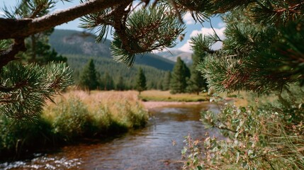 Obraz premium Lush riverbank view framed by pine branches in a mountainous region during a bright summer day