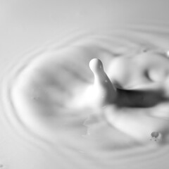 Close up shot of splashing fresh cow milk as background
