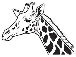 Naklejka premium Stylized black and white illustration of a giraffe s head and neck