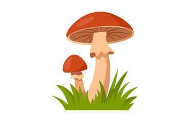 Autumn Mushrooms or Toadstool with Cap and Stem Growing in Green Grass – Wild Forest Fungi Illustration, Seasonal Edible Fungus, Botanical Nature, Organic Plant, Isolated Vector Clipart