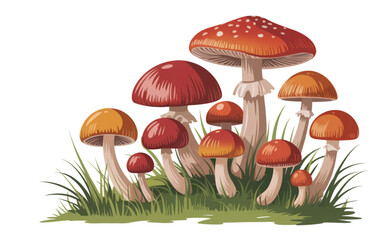 Autumn Mushrooms or Toadstool with Cap and Stem Growing in Green Grass – Forest Fungal Illustration, Edible Wild Mushroom, Nature Botany, Seasonal Fall Vegetable, Isolated Vector Clipart