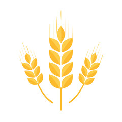 Wheat Icon Isolated on a Transparent Background 