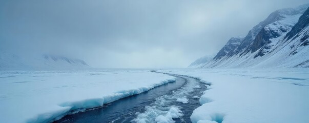 A desolate, icy landscape stretches under a grey, overcast sky Frozen textures and stark shadows dominate the scene, conveying a feeling of intense cold and isolation , glacier, background, shadows