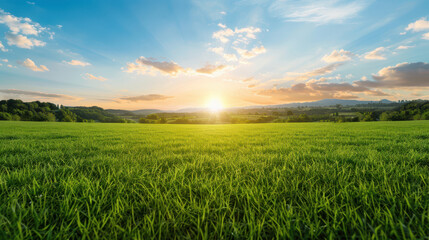 A field of grass with a bright sun in the sky