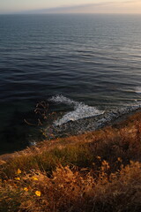 Golden sunset over Palos Verdes Cliffs with waves, rocky shores, wild grasses, and dramatic silhouettes capturing California’s rugged coastal beauty and peaceful ocean horizon.