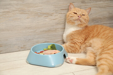 Cat with bowl full of raw natural products indoors, space for text. Pet's balanced diet