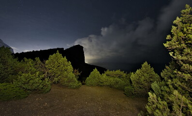 Russia, Novy Svet. Bizarre curves of relict juniper trees on the night cliffs of the Black Sea at Cape Kapchik on the Crimean Peninsula.