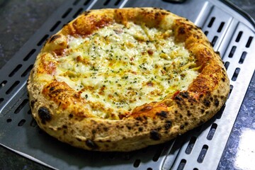 The best pizza in the world, chicken pizza with creamy catupiry cheese. Traditional Brazilian pizza