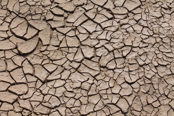Fototapeta premium Dry earth texture with cracked surface and rough patterns under sunlight, showing arid soil, drought conditions, natural background, environmental detail, and barren landscape for nature concept