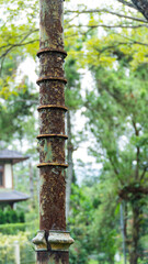 A close-up of a heavily rusted and weathered green metal pole with a textured surface