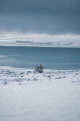Winter landscape with snow in Lake Tekapo, New Zealand