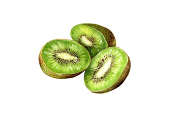 Baby Kiwi Flat Lay Composition Isolated On Transparent Background
