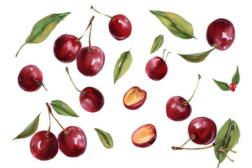 Cherry Flat-Lay Composition Transparent Background