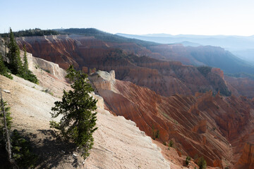 Pine Canyon