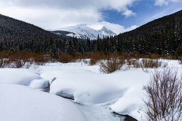 winter in the mountains